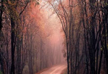 熊猫体育：CBA：客场取胜 广东队112-97南京队.