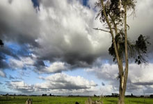 熊猫体育：马克-威廉姆斯：我打算在巡回锦标赛上尝试佩戴.