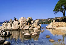 纳米比亚首任总统萨姆·努乔马去世，享年95岁.